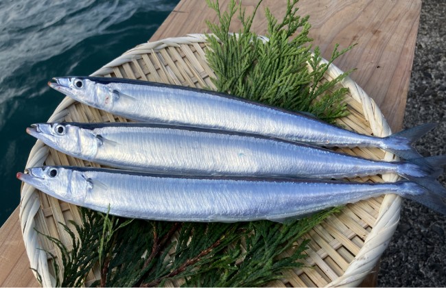 Farming sanma