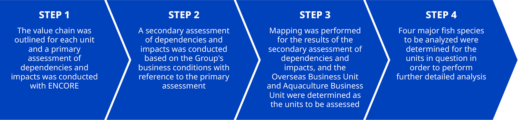 We conducted a four-step analysis of biodiversity dependencies and impacts related to the value chain across all business divisions.