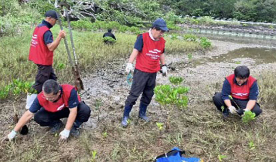 Our members restoring the planting site
