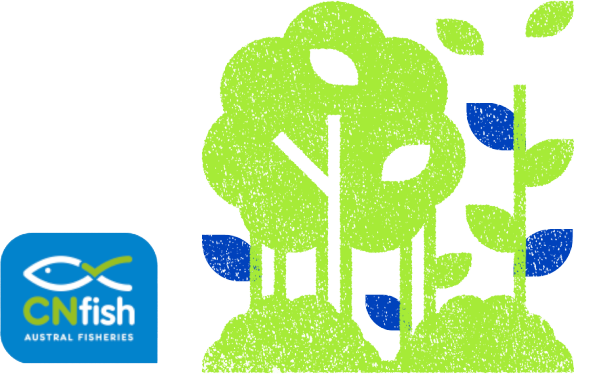 Brand logo "CNfich" and green imagery