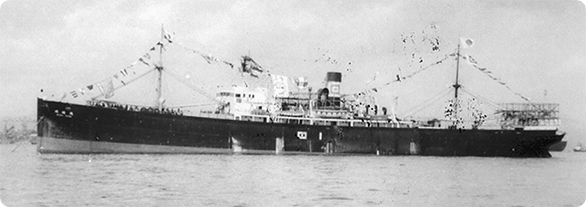 Refrigerated cargo ships and freezer cargo ships have been completed one after another.