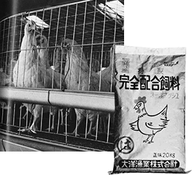 Entered the livestock and feed industry