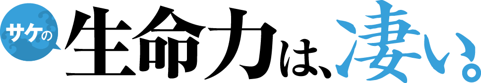 サケの生命力は凄い