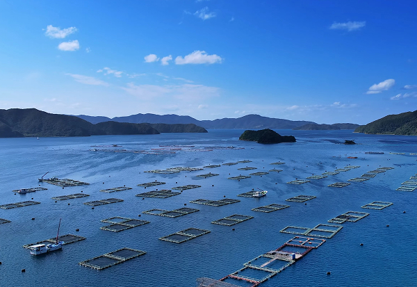 奄美事業所の風景