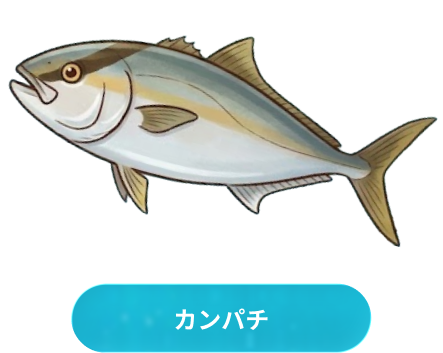 カンパチ