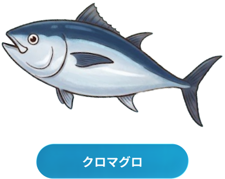クロマグロ
