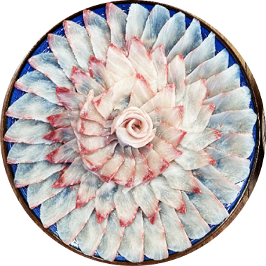 スギ養殖の様子