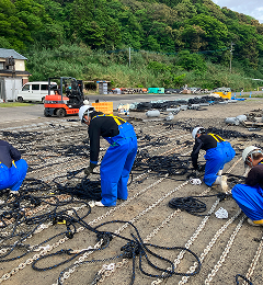 養殖場での作業風景