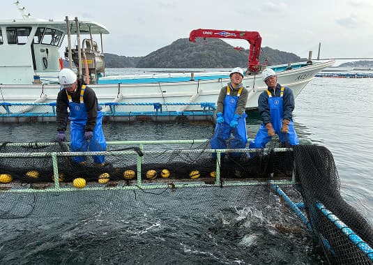海上作業