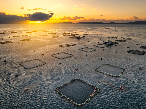 養殖場の風景