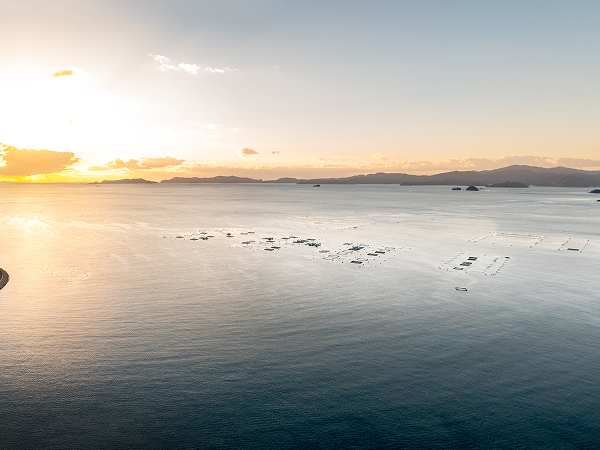 養殖場の風景