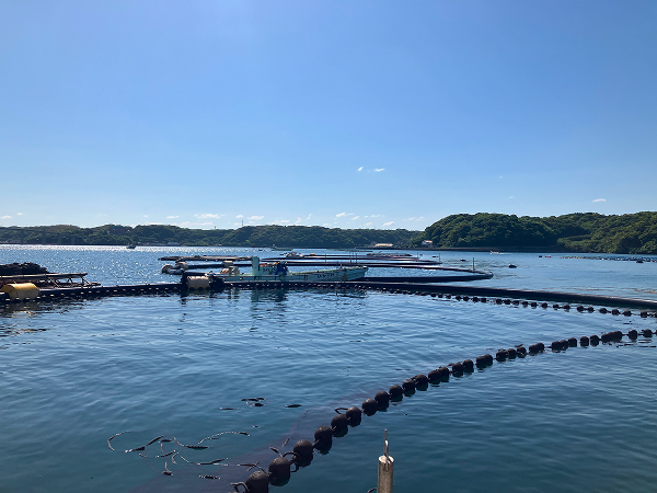 養殖場の風景