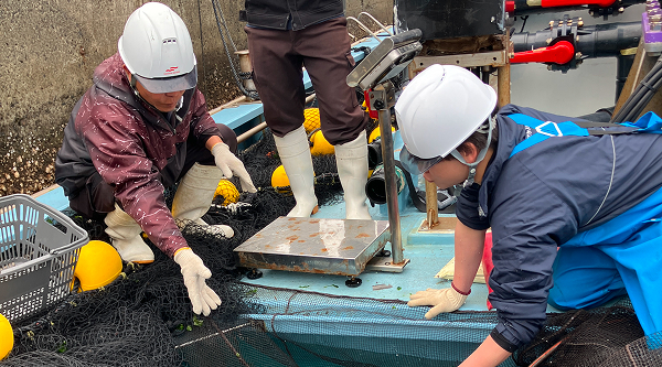 アクア事業所 島浦漁場