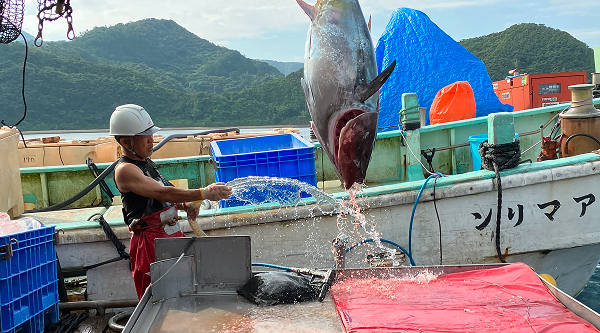 奄美事業所 篠川漁場