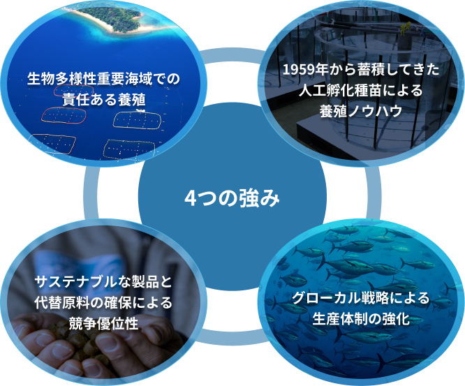 4つの強み
