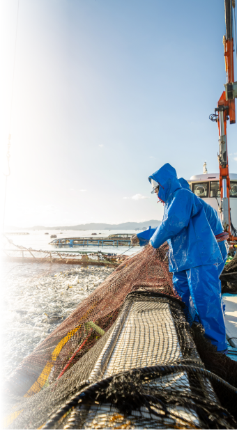 養殖場で網を扱う作業員