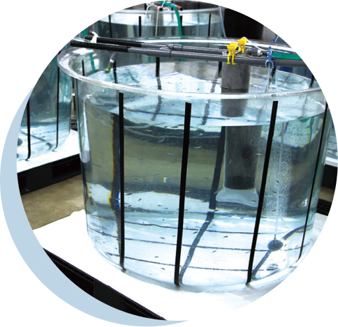 人工孵化用の円筒形飼育タンク