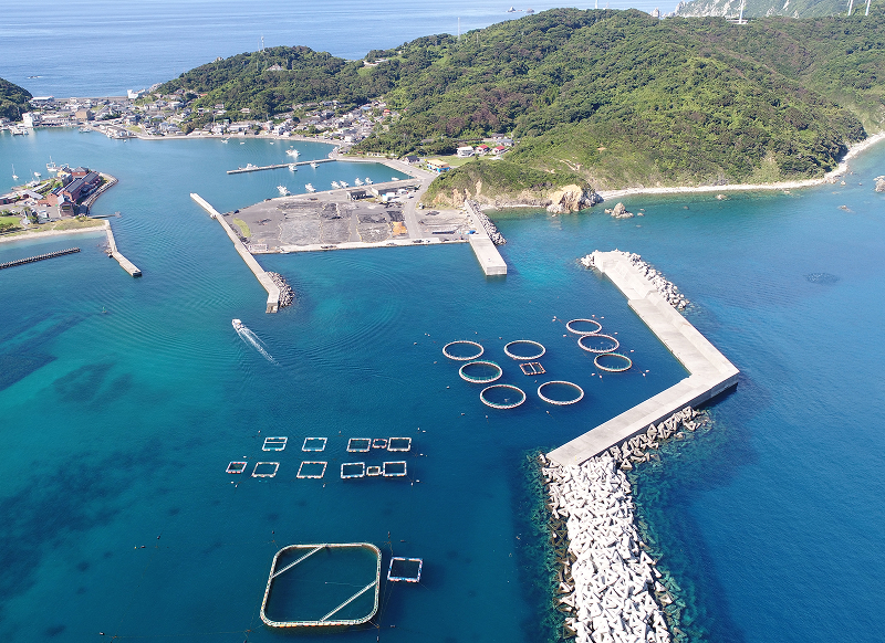 品質管理の様子