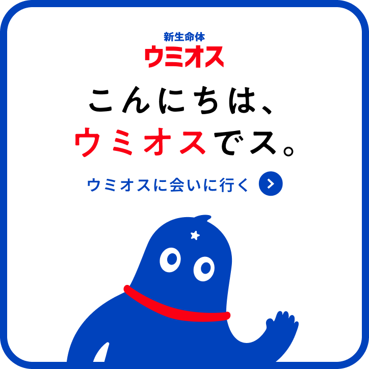 こんにちは。ウミオスでス