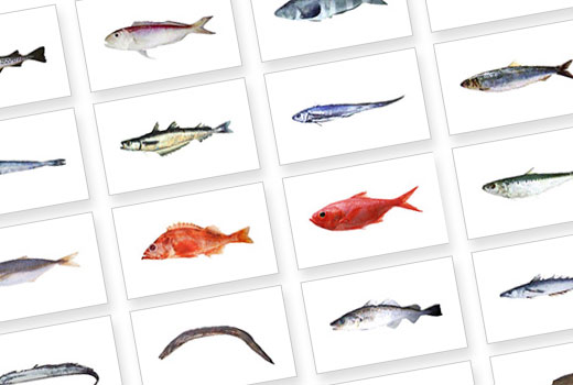 全国特産ちくわ・かまぼこ