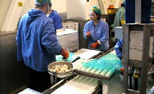 肉詰め・秤量・パン立て工程