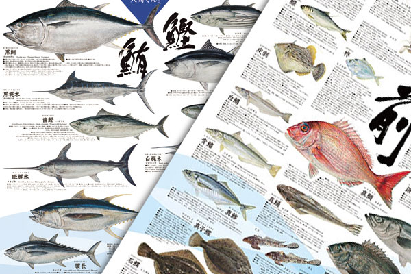 おさかなポスターコレクションメインビジュアル