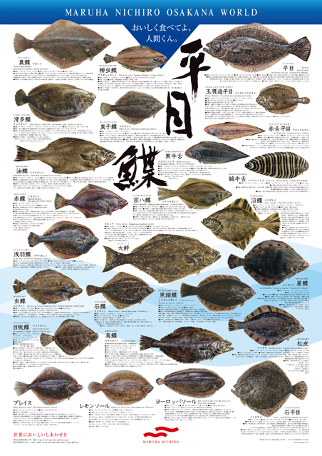 平目・鰈シリーズ