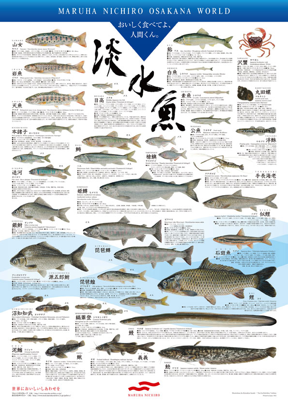 淡水魚シリーズ