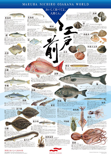 江戸前シリーズ