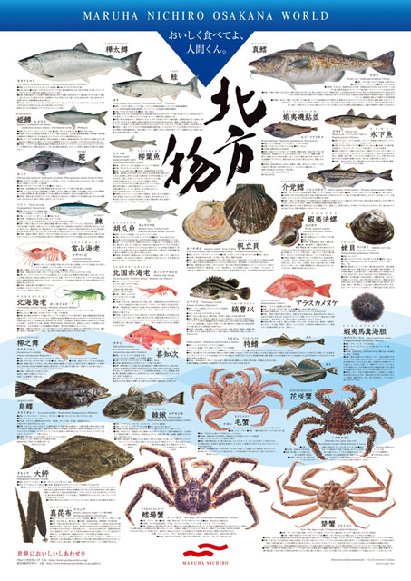 北方物シリーズ