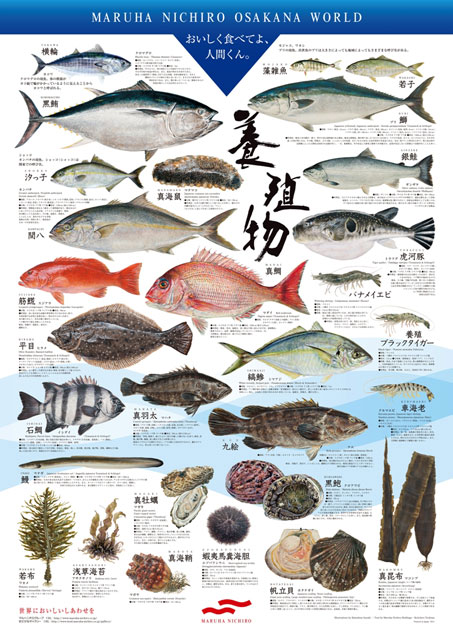 養殖物シリーズ