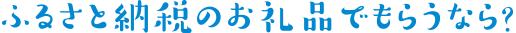 ふるさと納税のお礼品でもらうなら?