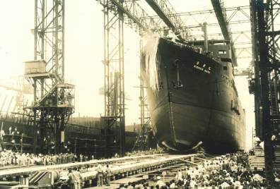 南氷洋捕鯨に初出漁