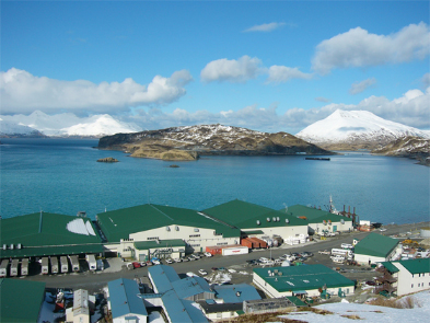 北米にスケソウダラ・カニ等を扱う水産会社4社を設立