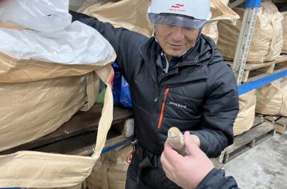 餌を確認する様子