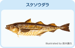 スケソウダラ