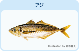 アジ