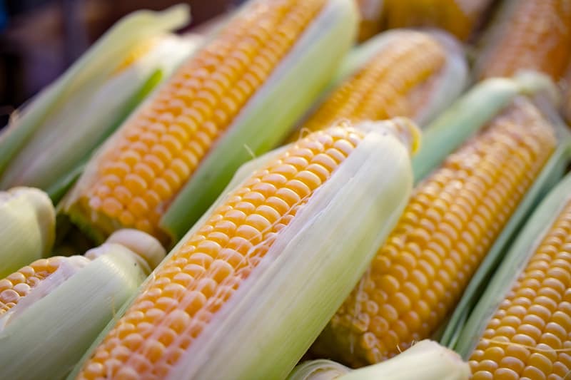 そのほかバルク商品