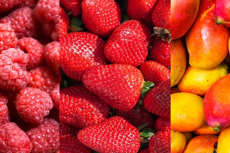 FDフルーツパウダー