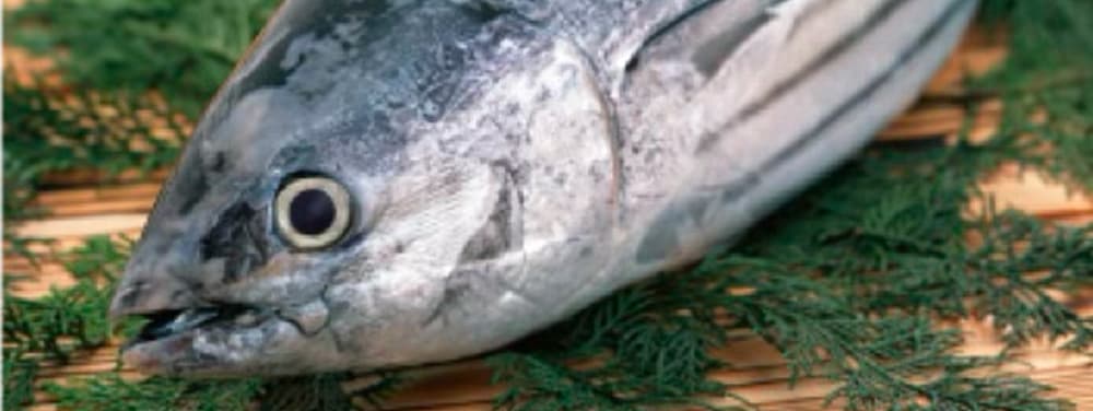 カツオ・マグロエキス