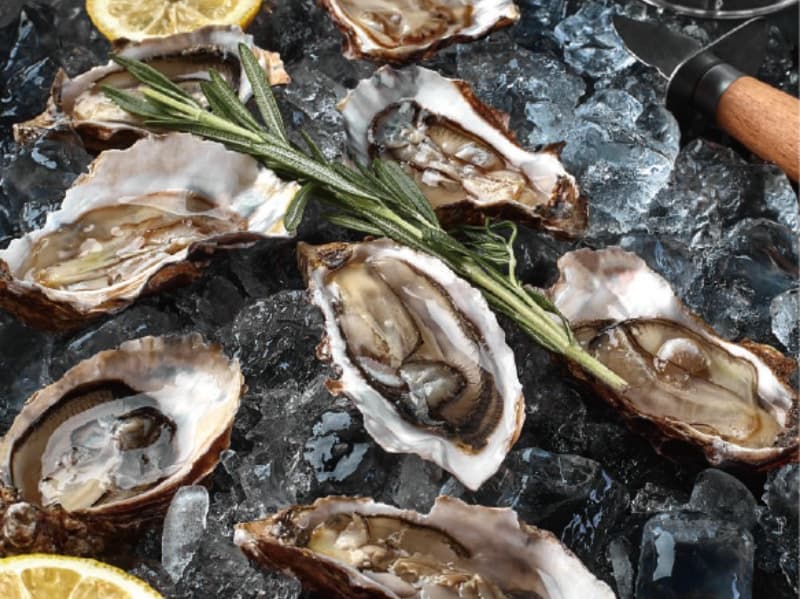 オイスターエキス