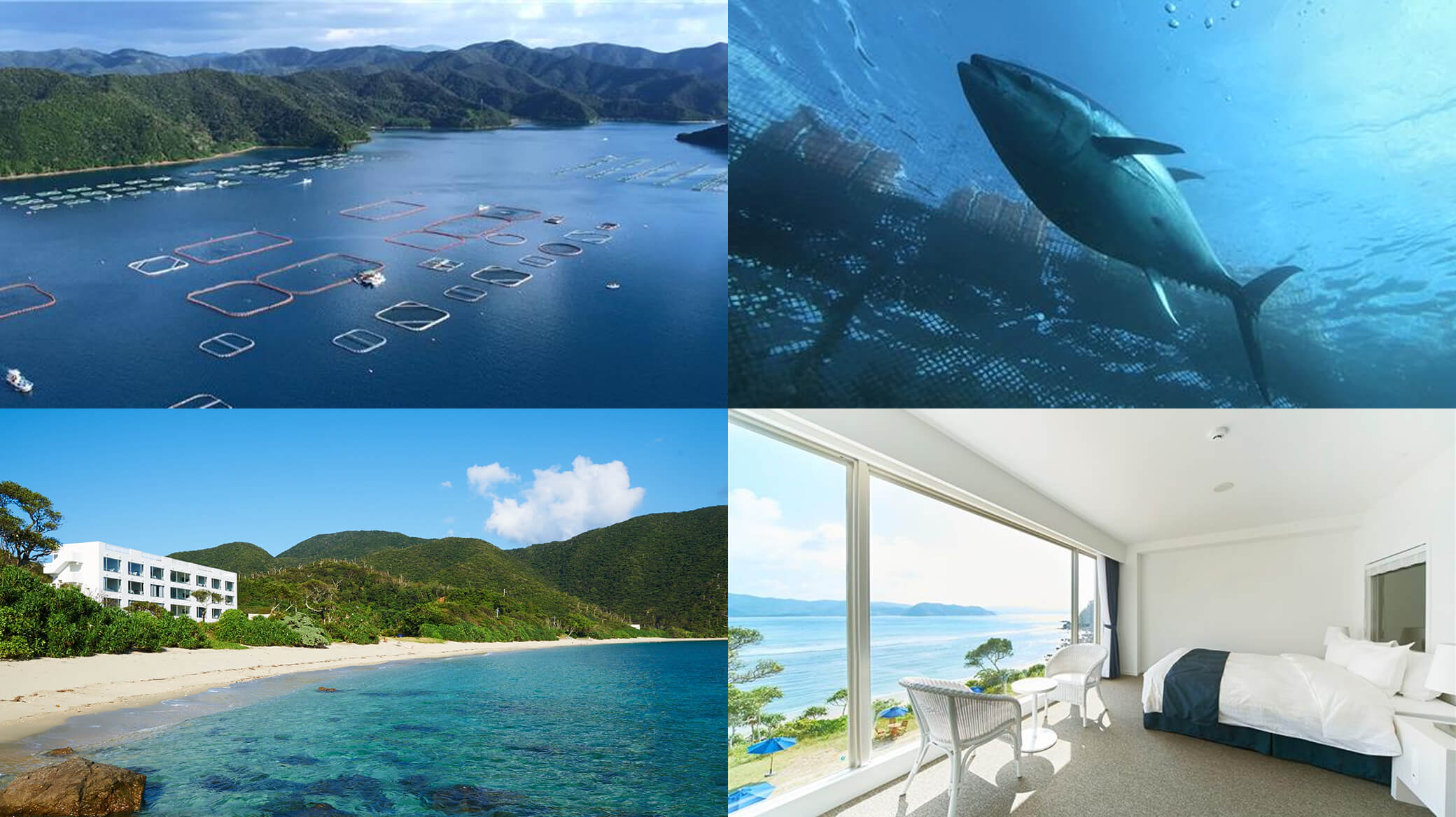 奄美大島ツアー