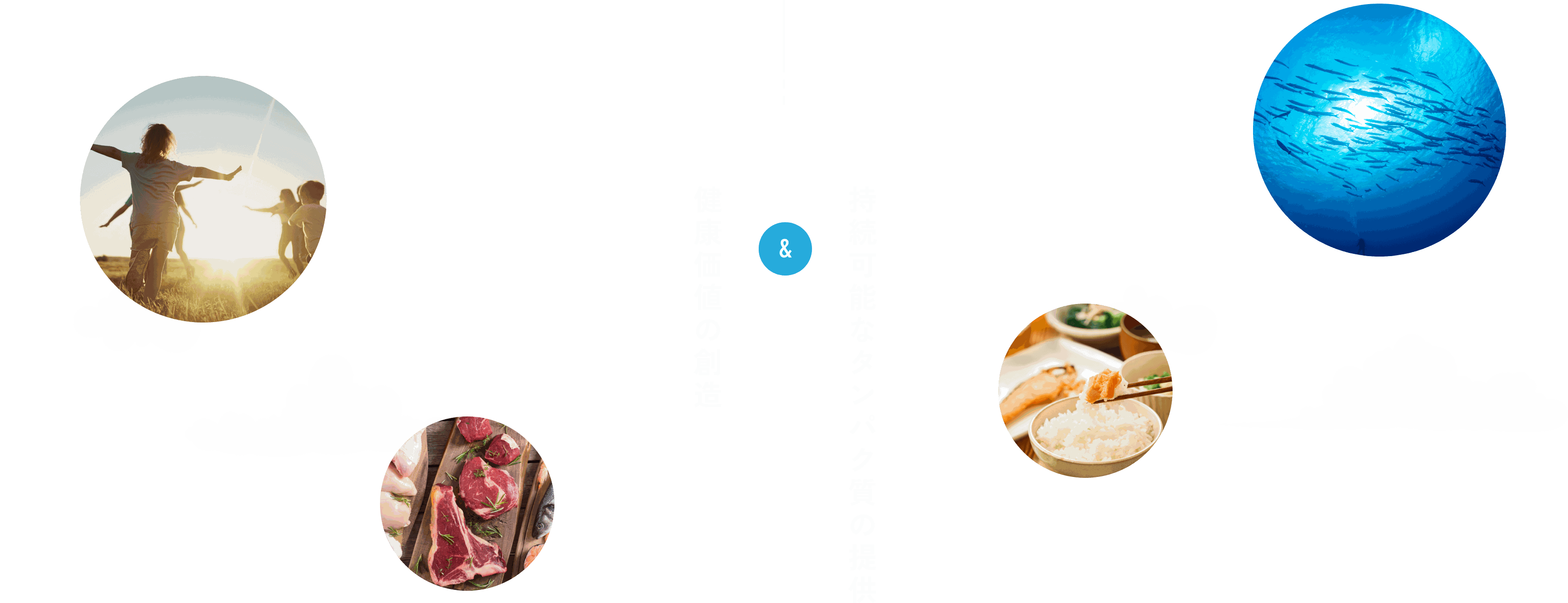 持続可能なタンパク質の提供 健康価値の創造