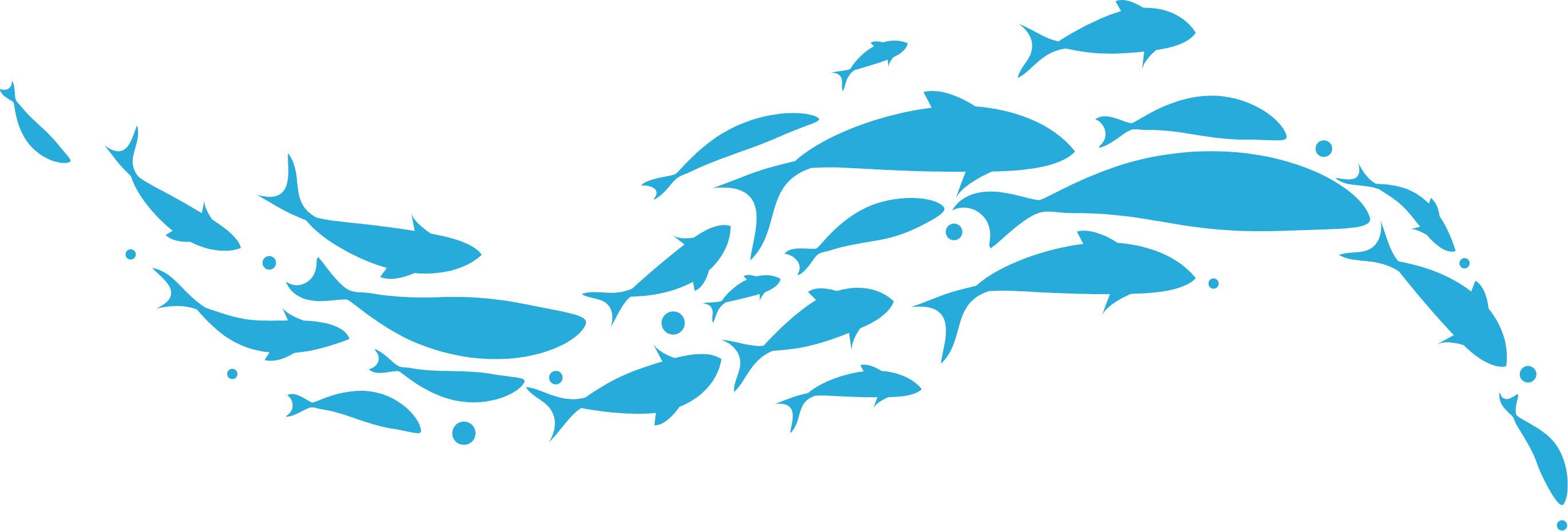 カツオ・マグロ漁業