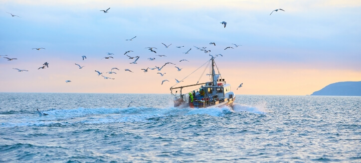 短期海外トレーニー