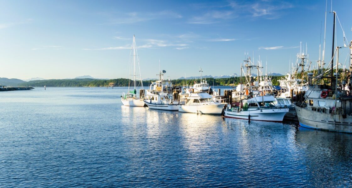 水産商事ユニット