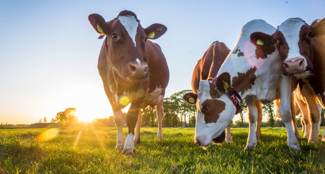 農畜産ユニット