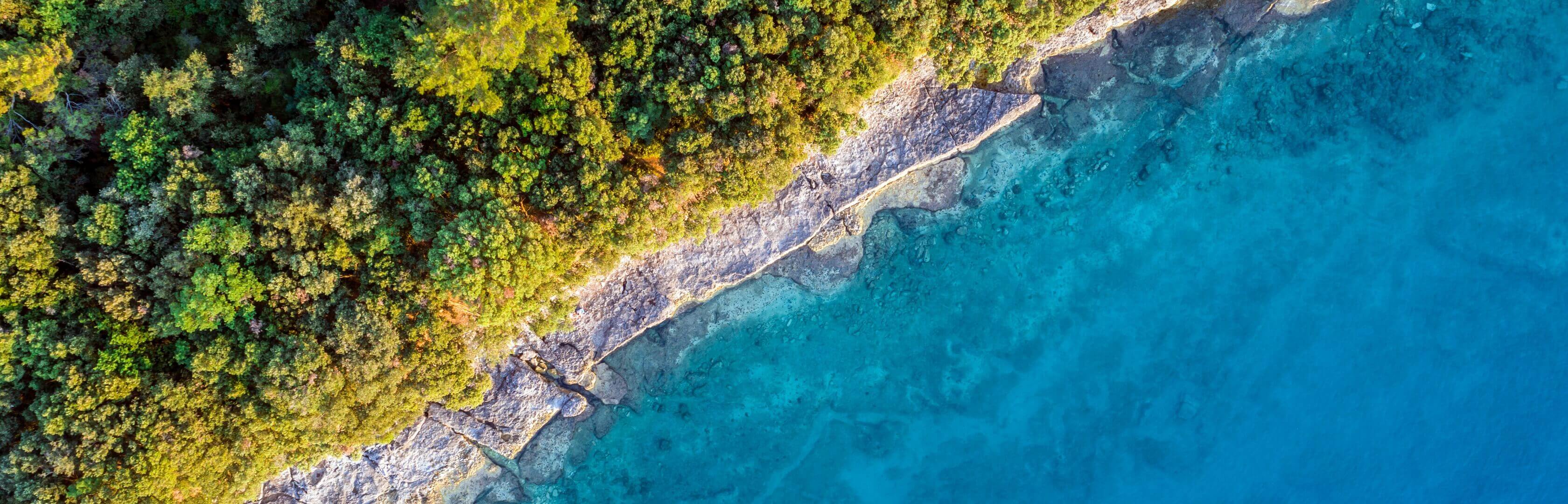 ビジネスモデルとバリューチェーン