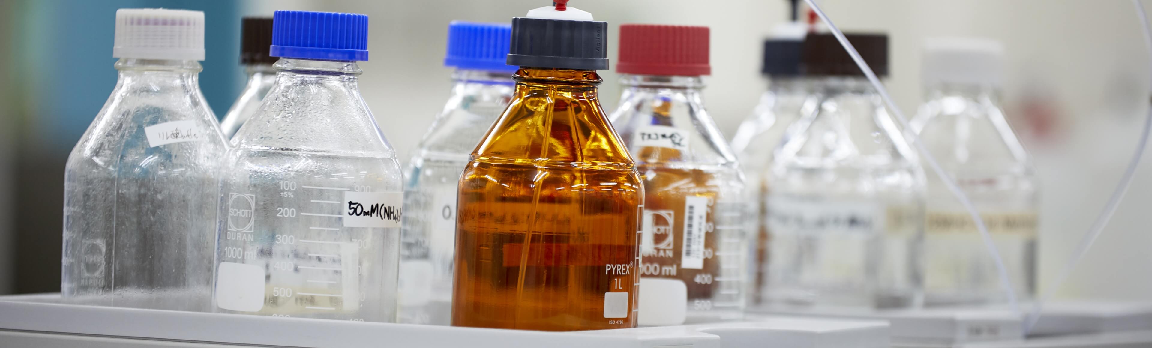 水産物初の「機能性表示食品」の届出に挑んだ、入社５年目。