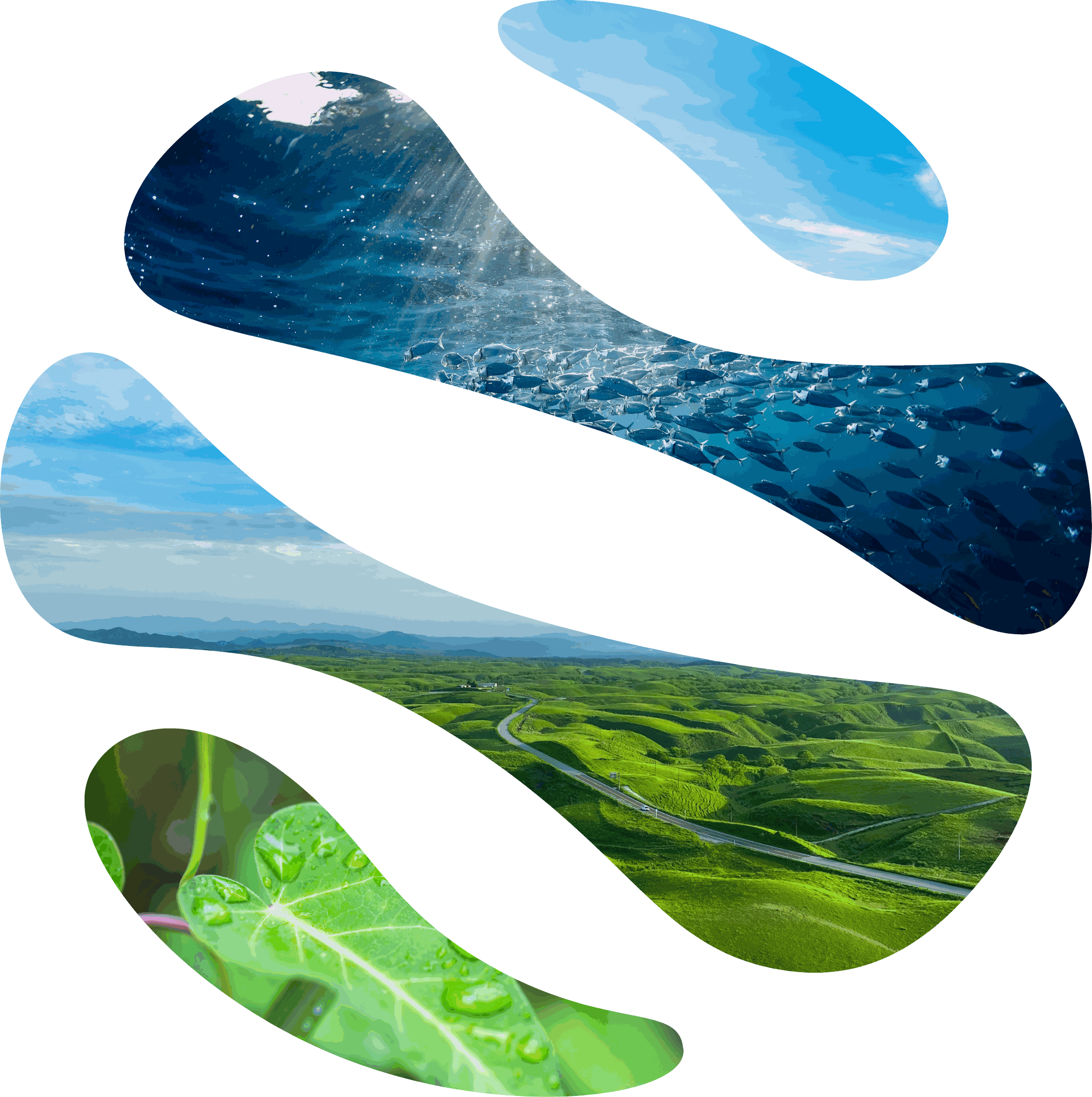 Umiosグループ企業 採用情報